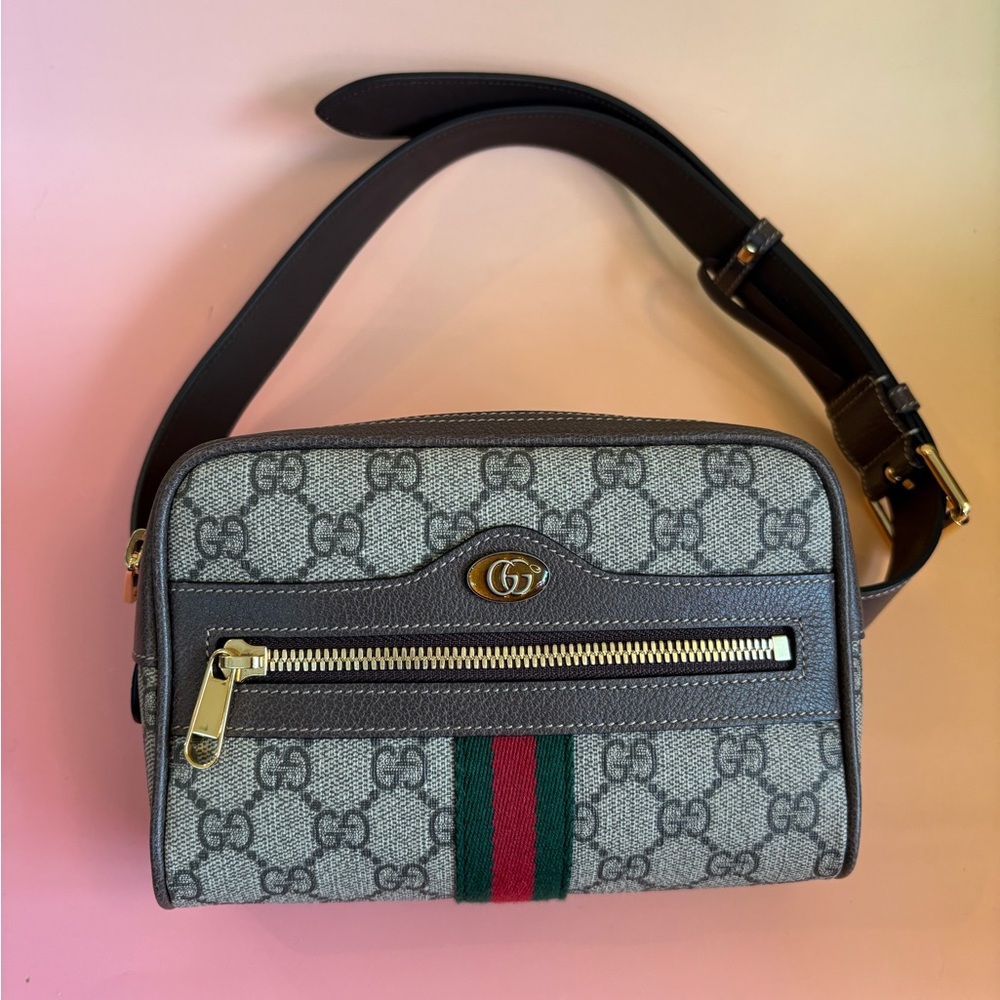 Gucci Ophidia Small Belt Bag
